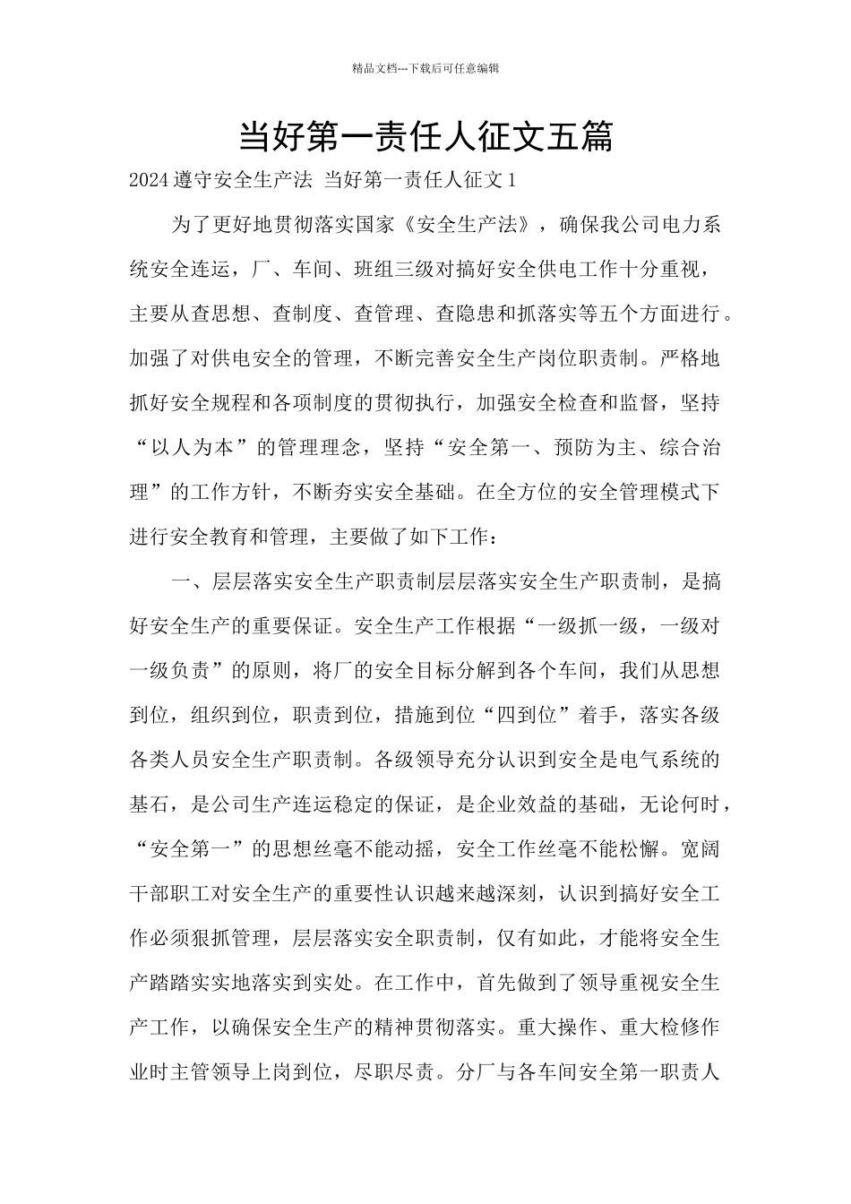 当好第一责任人征文五篇_第1页