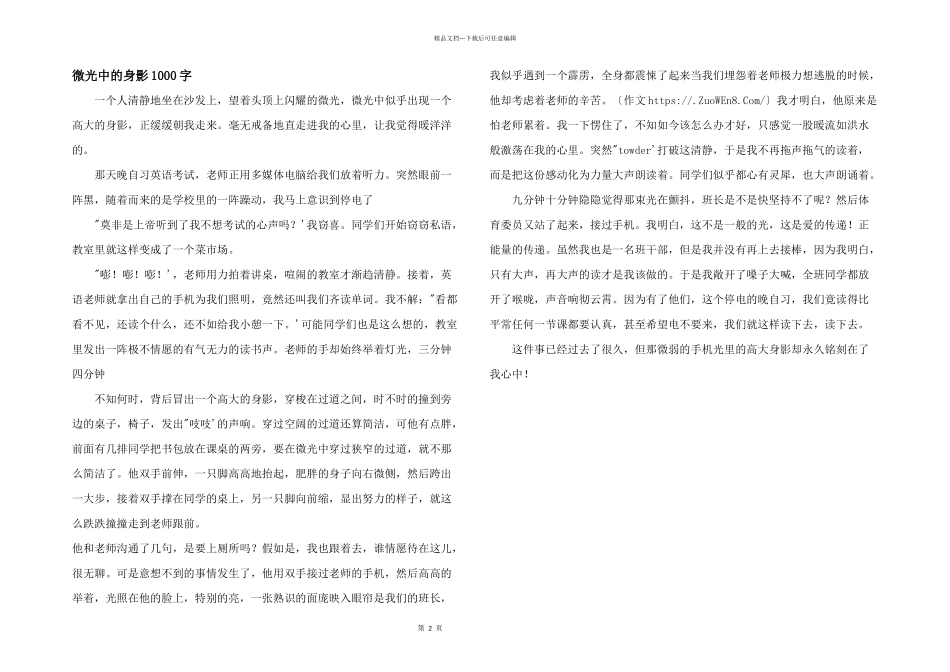 微光中的身影1000字_第1页