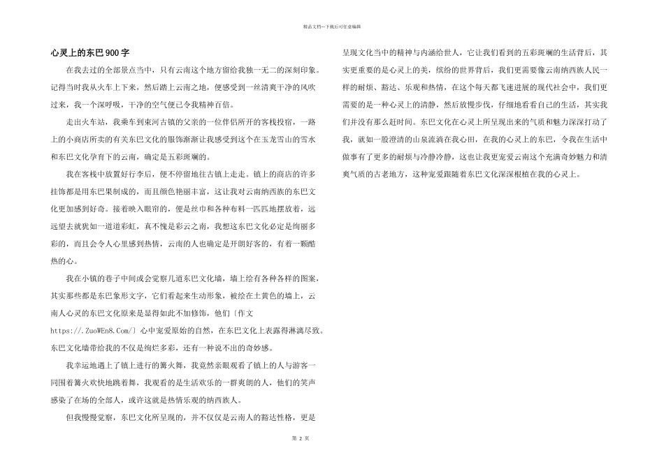 心灵上的东巴900字_第1页