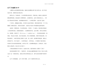 忘不了的盛夏600字