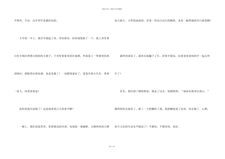 快乐大年初一_第3页