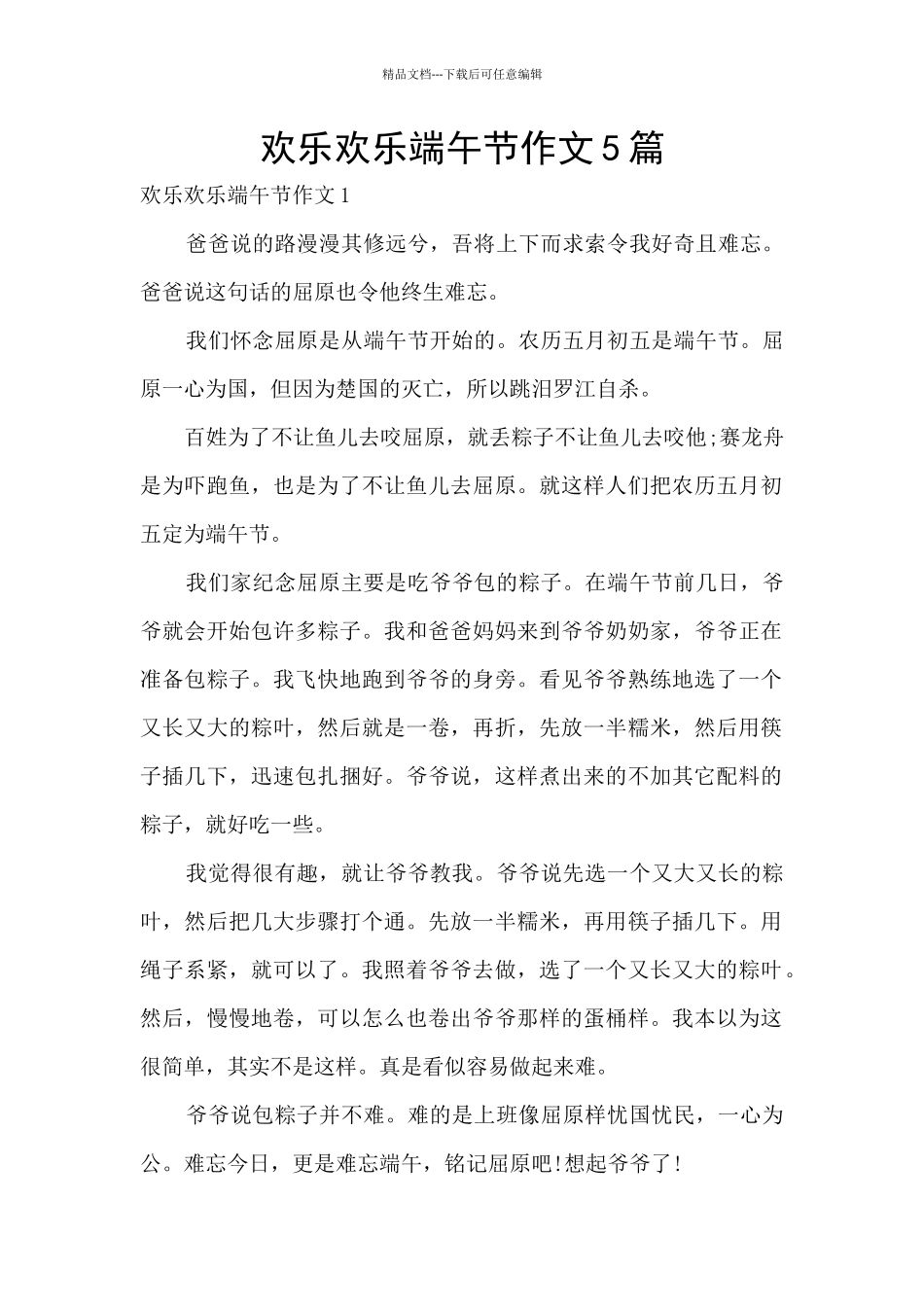 快乐开心端午节作文5篇_第1页