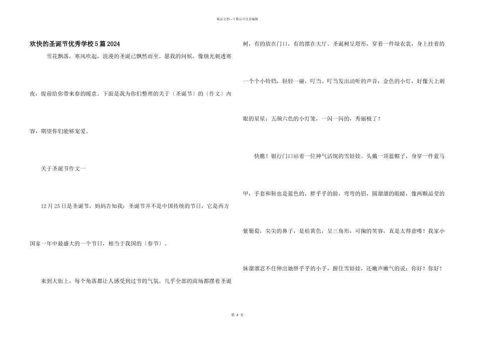 快乐的圣诞节优秀小学5篇2024_第1页