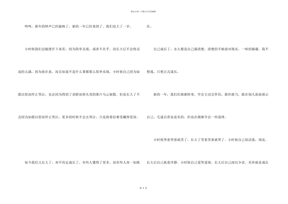 快乐的新年400字10篇_第3页