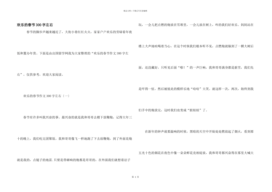 快乐的春节300字左右_第1页