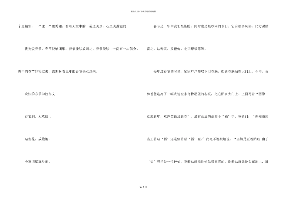 快乐的春节小学2024_第3页