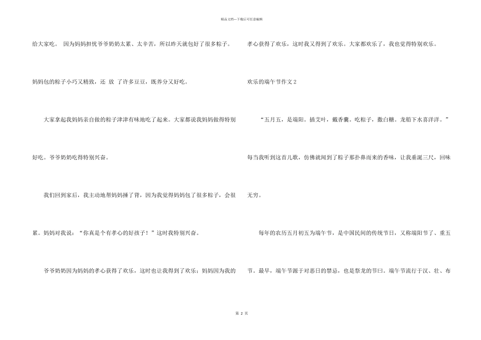 快乐的端午节_第2页