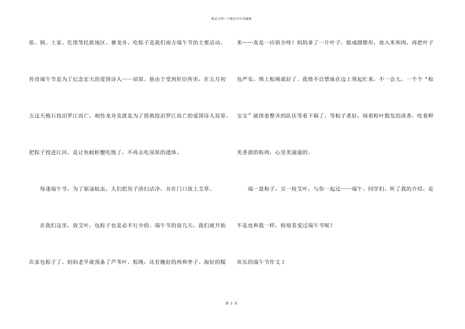 快乐的端午节_第3页