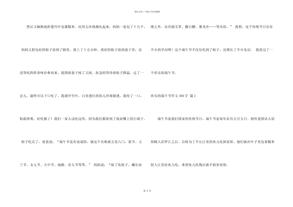 快乐的端午节300字锦集十篇_第2页
