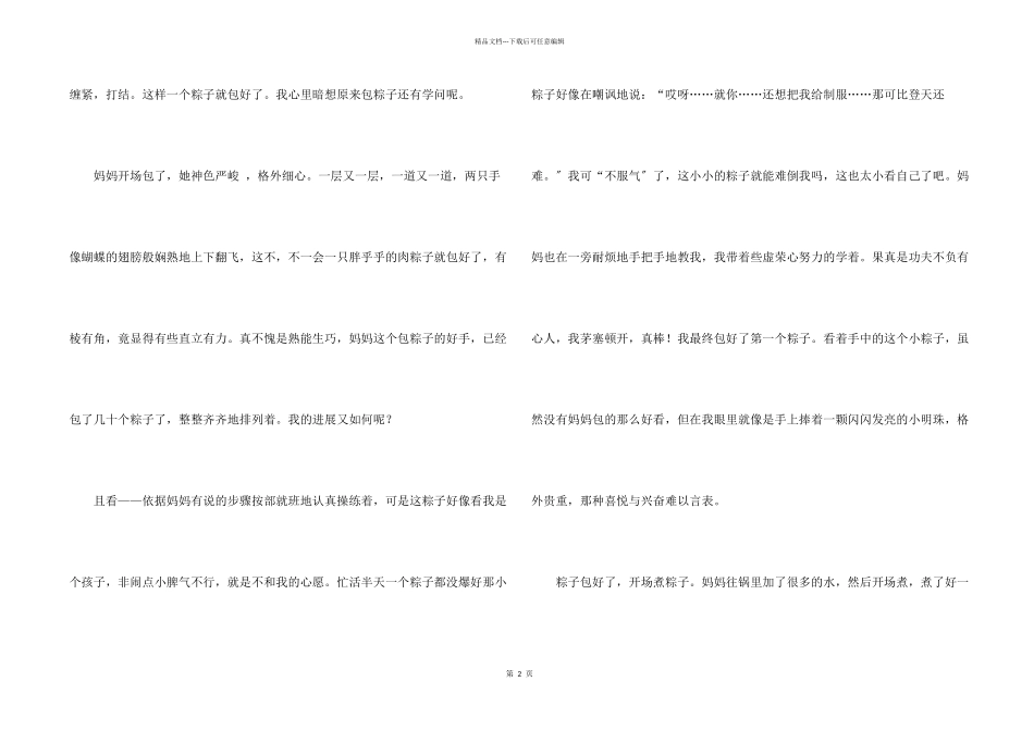 快乐的端午节500字锦集7篇_第2页
