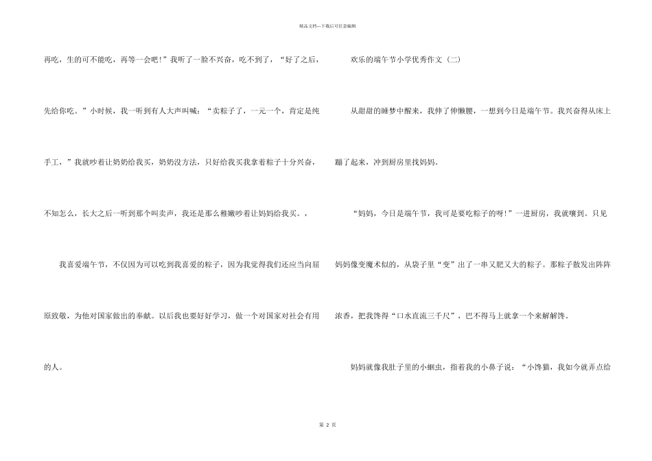 快乐的端午节小学优秀5篇_第2页
