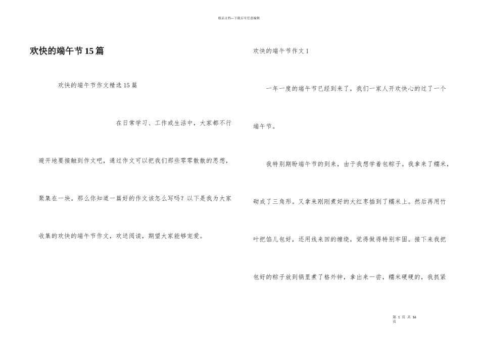 快乐的端午节15篇_第1页