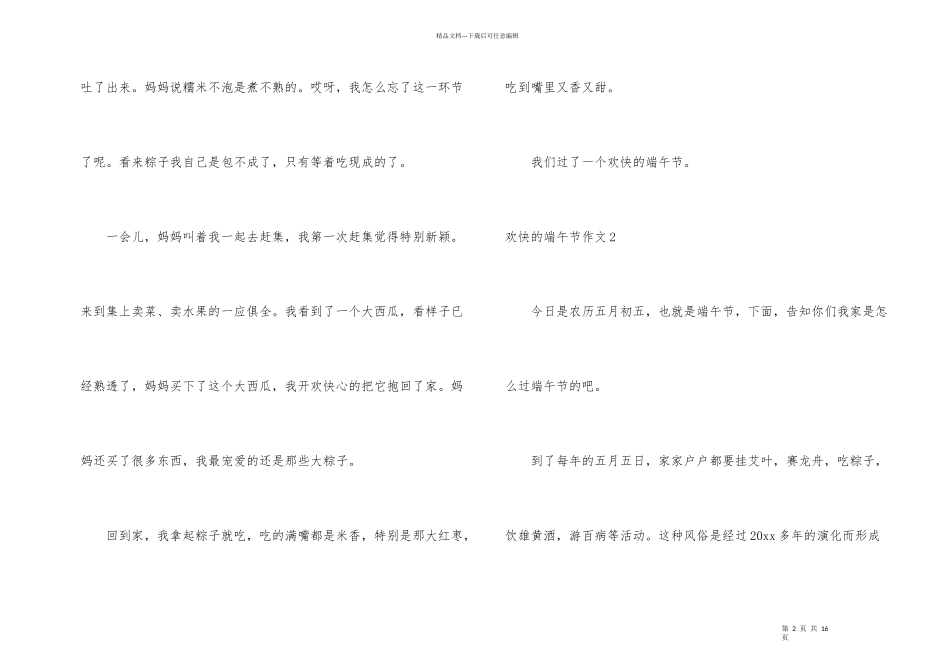 快乐的端午节15篇_第2页