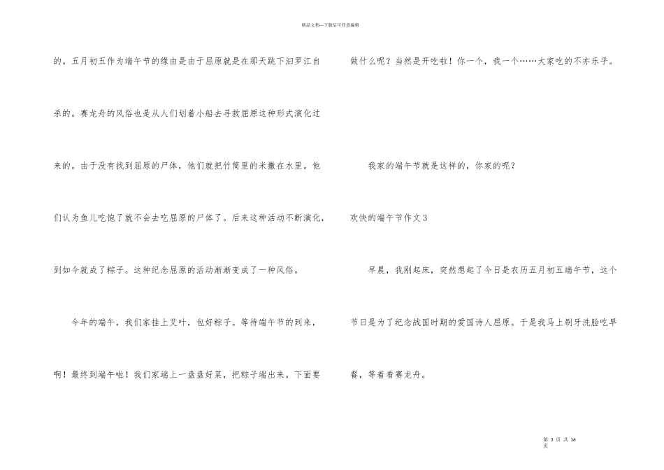 快乐的端午节15篇_第3页