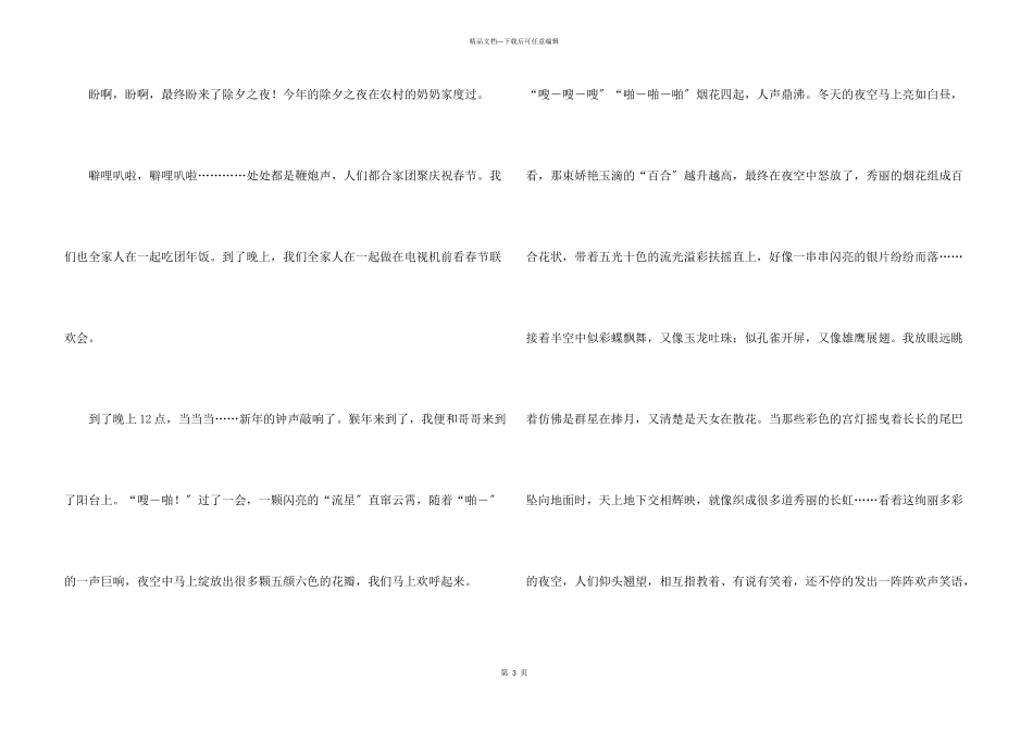 快乐的除夕夜500字锦集10篇_第3页