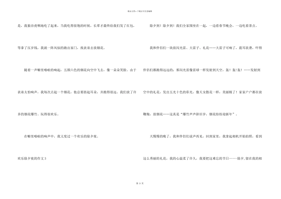 快乐除夕夜的_第3页