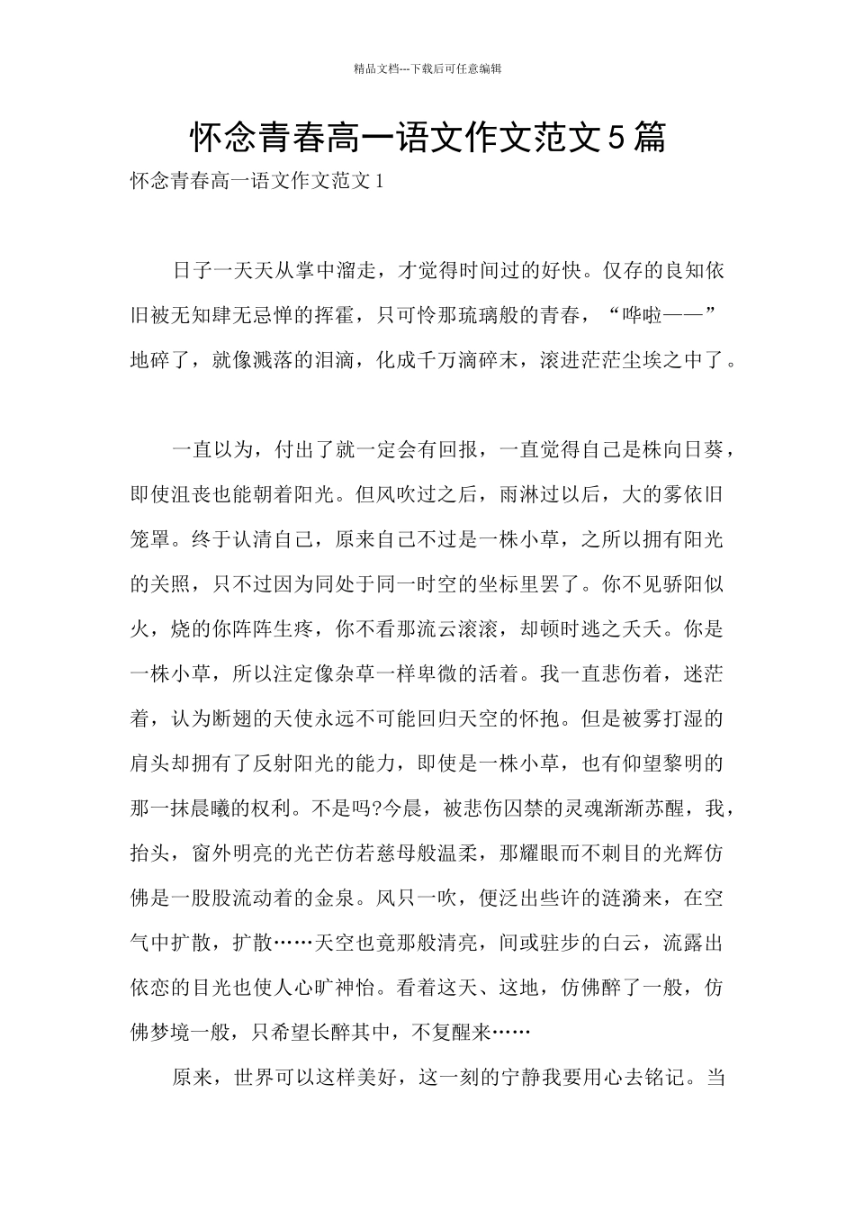 怀念青春高一语文作文范文5篇_第1页