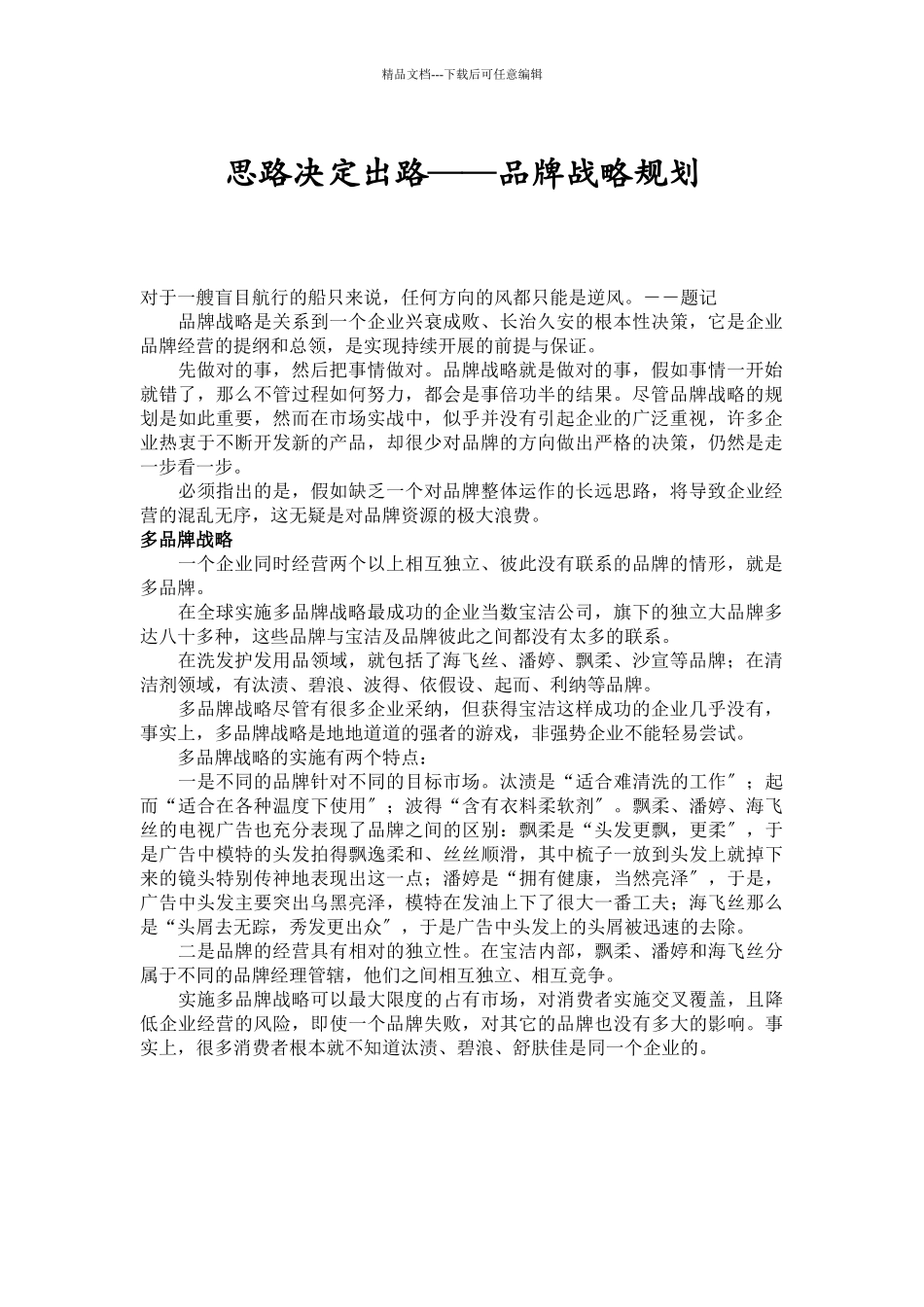 思路决定出路——品牌战略规划_第1页