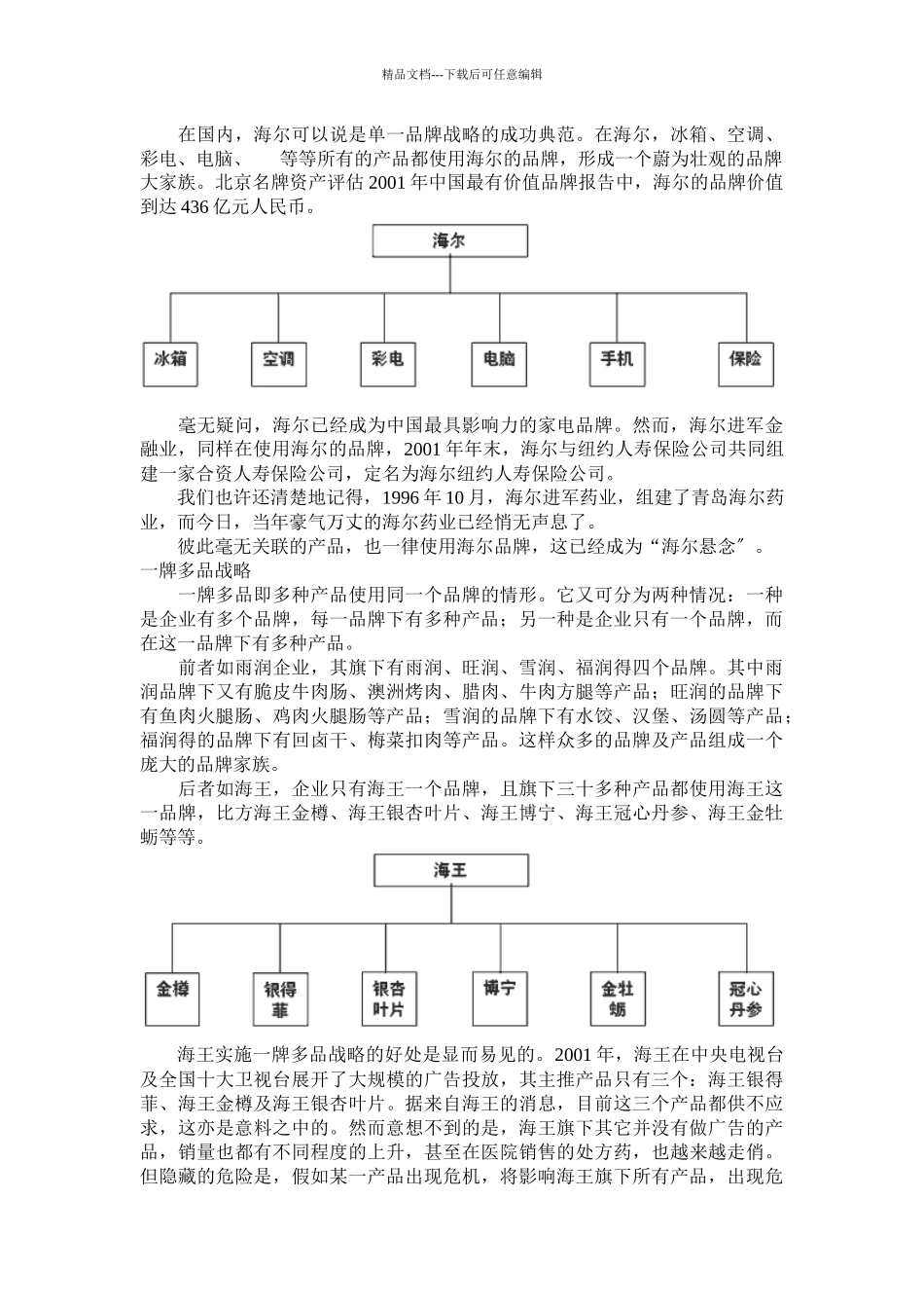 思路决定出路——品牌战略规划_第3页