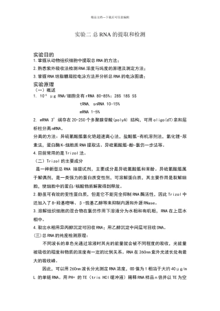 总RNA的提取和检测