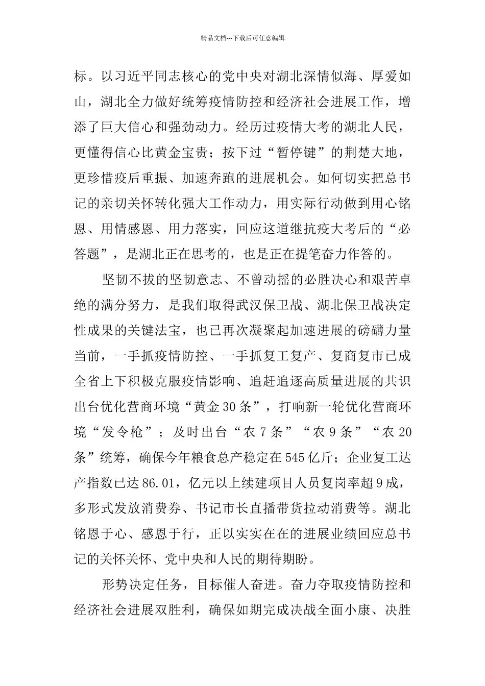 总书记2024两会参加湖北代表团讲话心得体会_第2页
