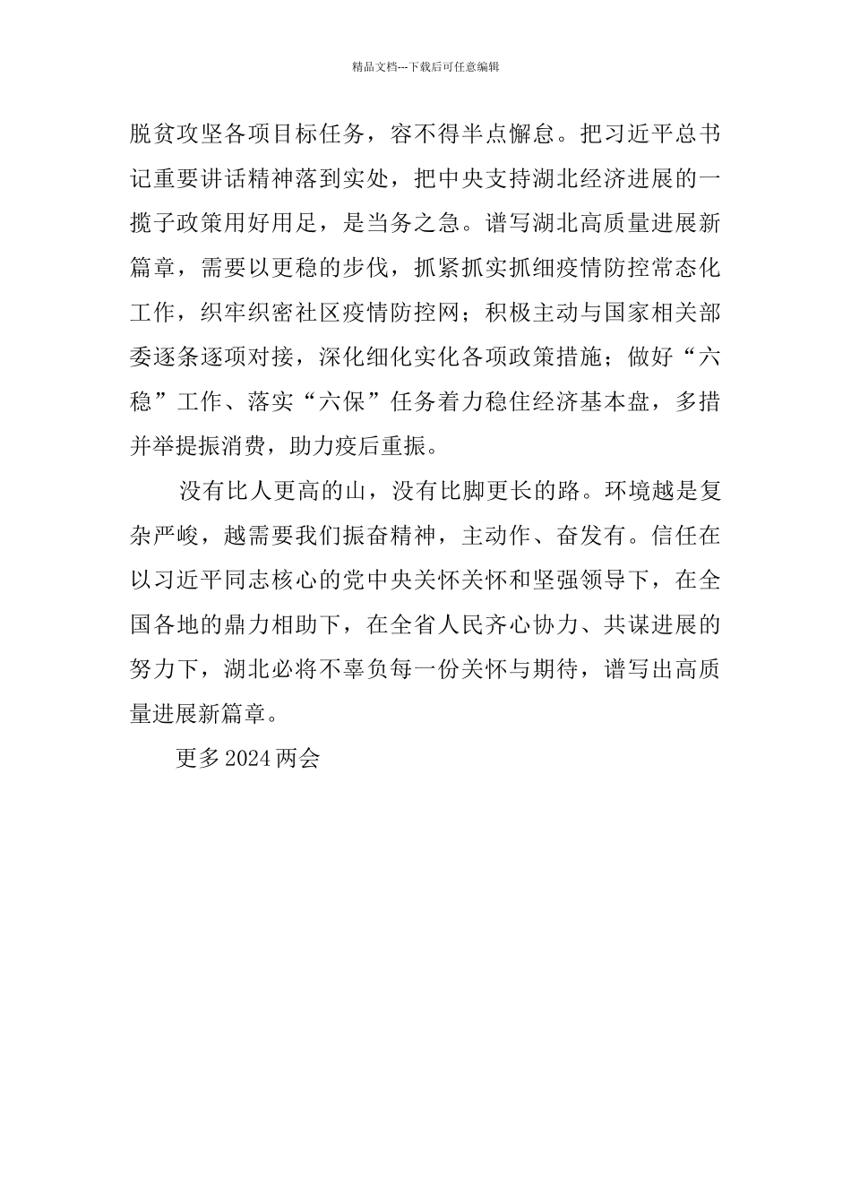 总书记2024两会参加湖北代表团讲话心得体会_第3页