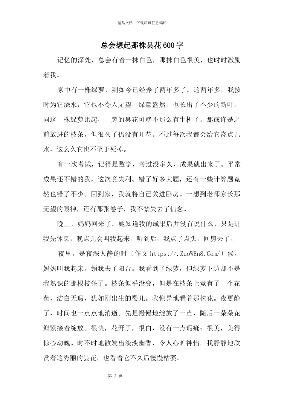 总会想起那株昙花600字_第1页