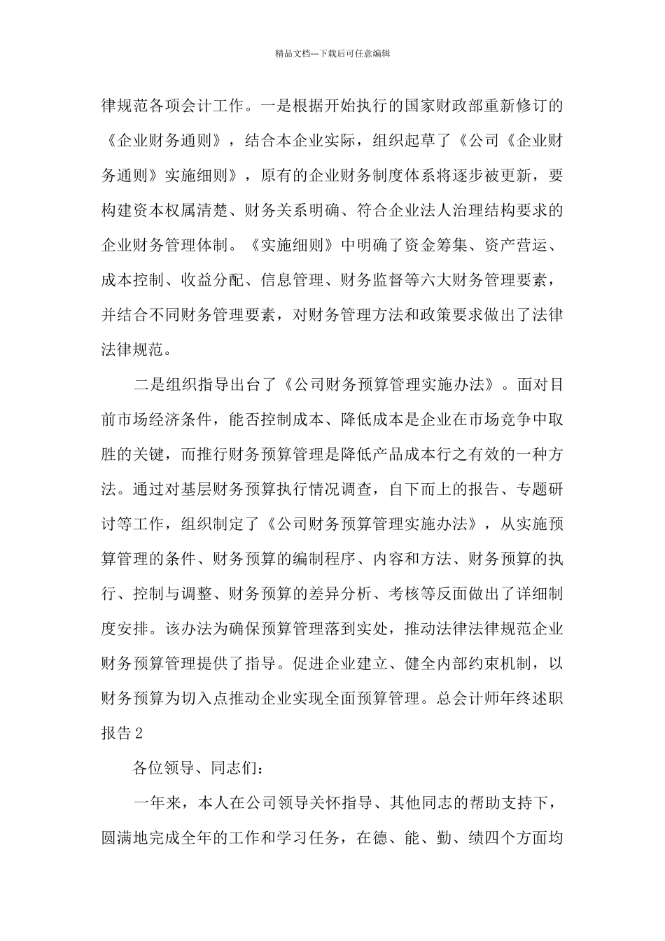 总会计师年终工作述职报告_第3页