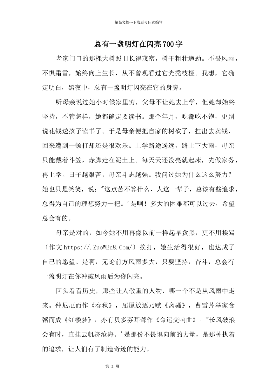 总有一盏明灯在闪亮700字_第1页