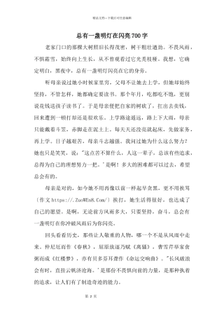 总有一盏明灯在闪亮700字