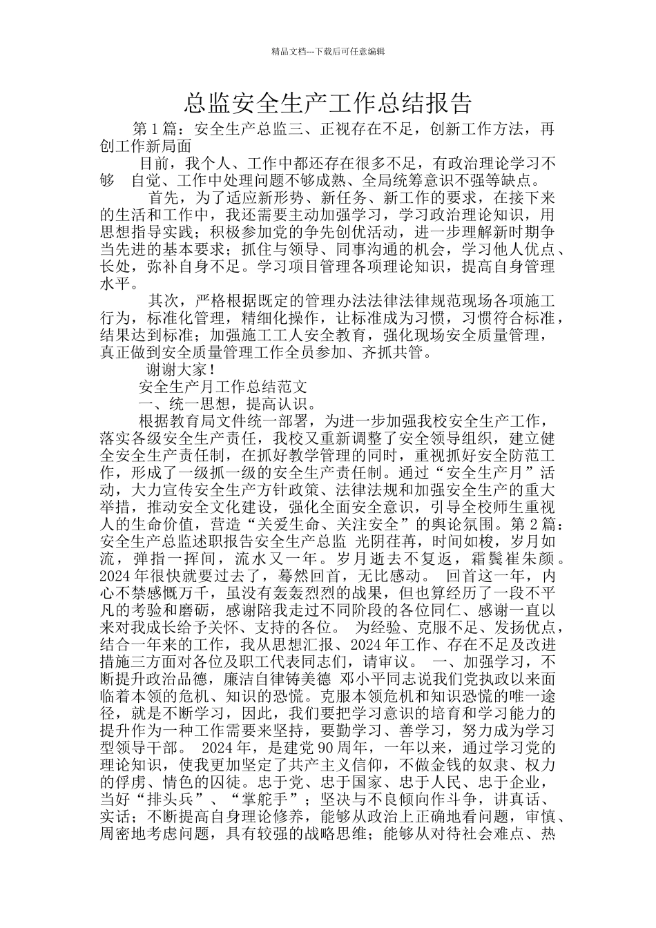 总监安全生产工作总结报告_第1页