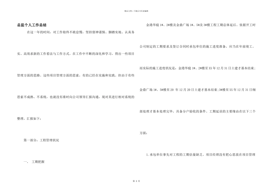 总监个人工作总结_第1页