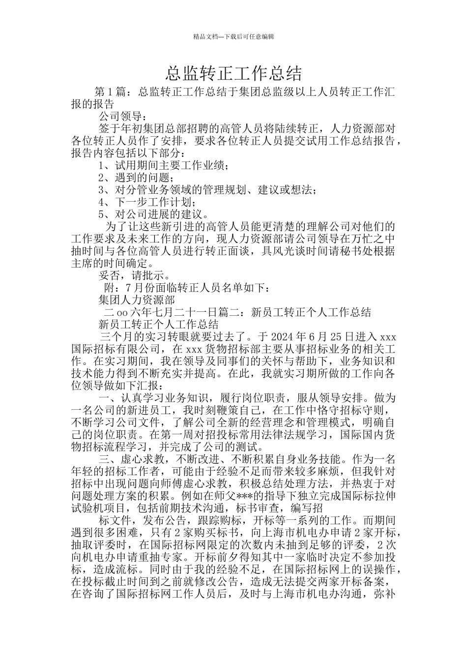 总监转正工作总结_第1页