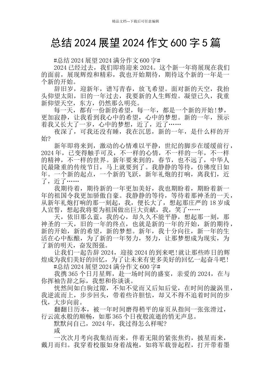 总结2024展望2024作文600字5篇_第1页