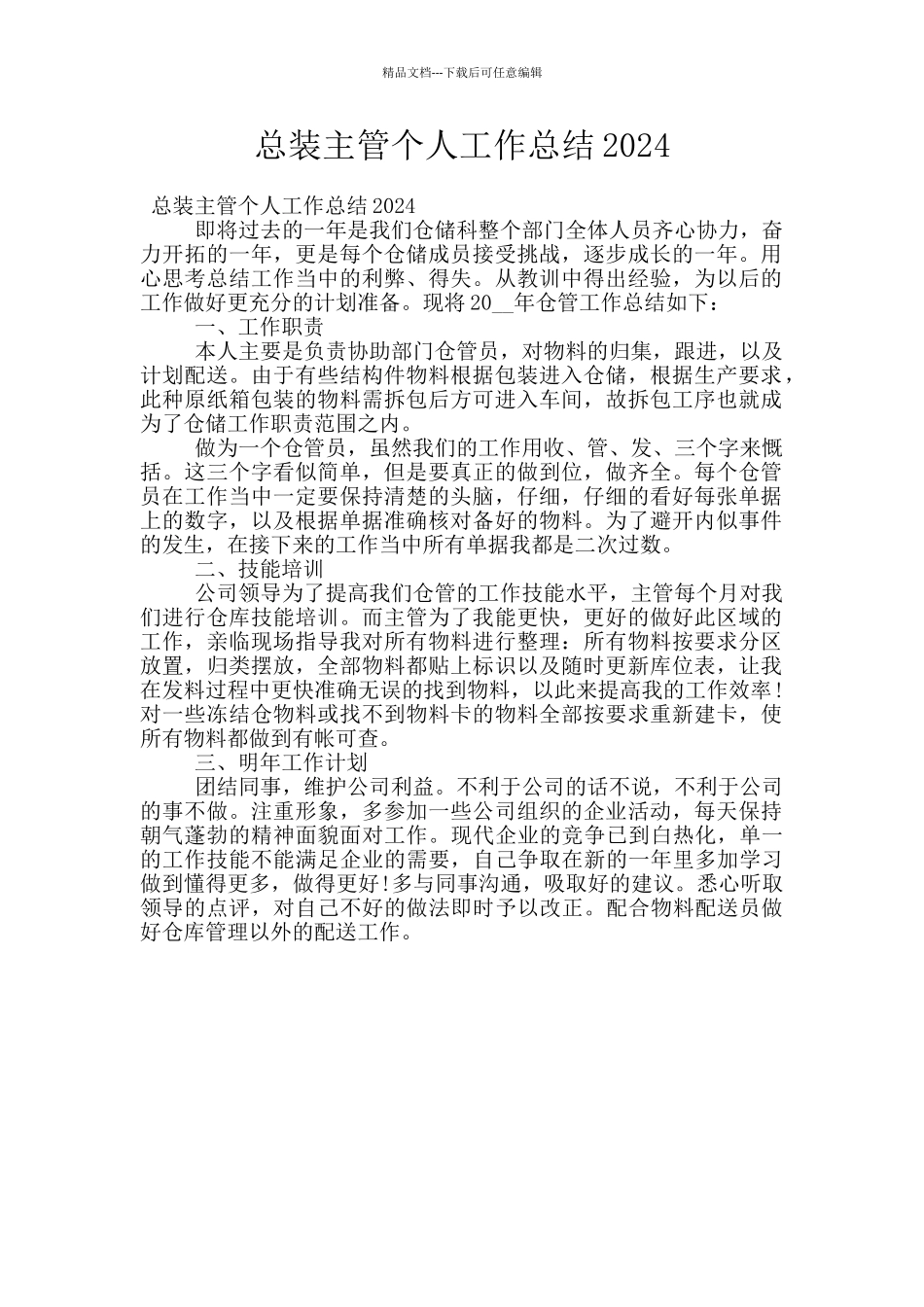 总装主管个人工作总结2024_第1页