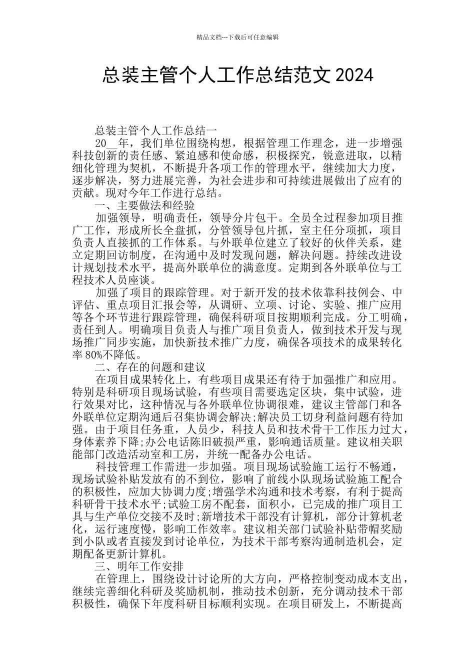 总装主管个人工作总结范文2024_第1页