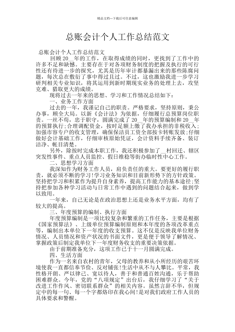 总账会计个人工作总结范文_第1页