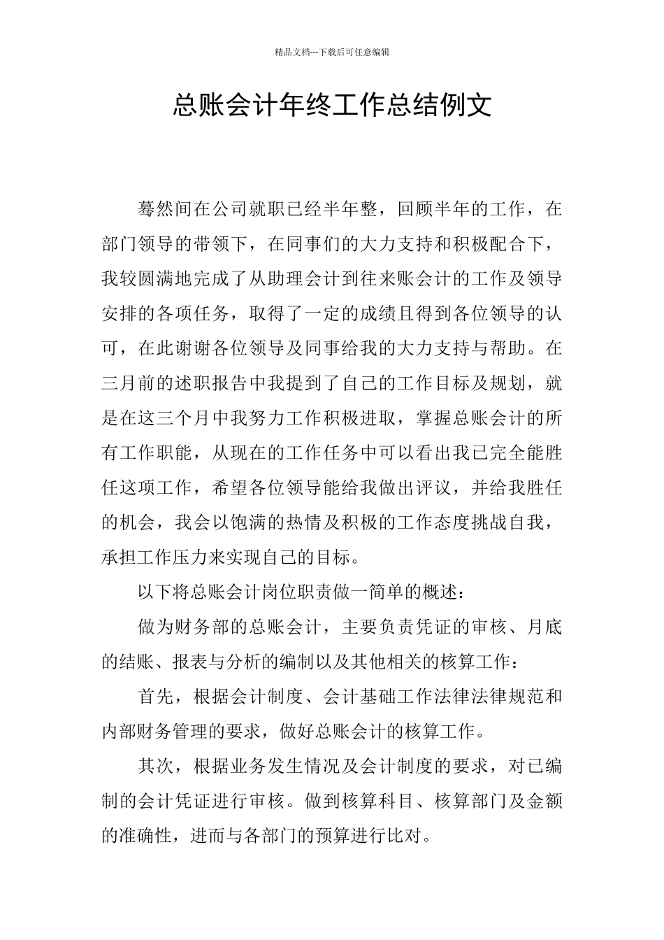 总账会计年终工作总结例文_第1页