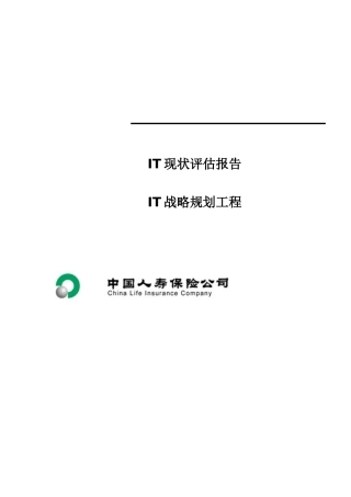 惠普——中国人寿IT战略规划项目IT现状评估报告