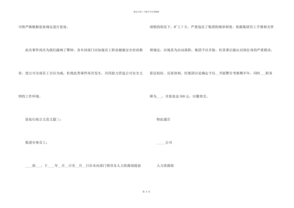 惩罚行政公文3篇_第3页