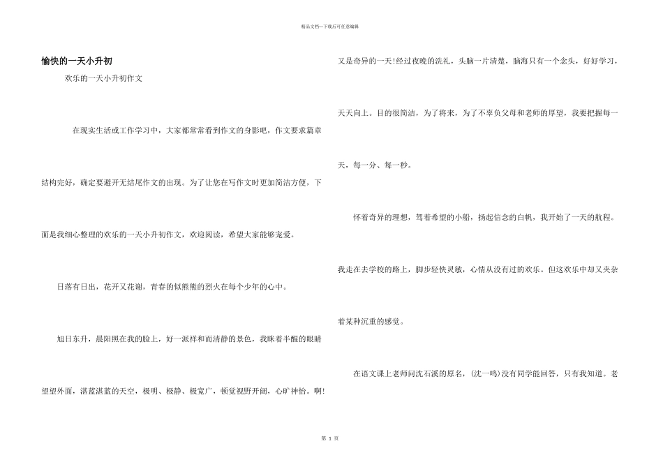 愉快的一天小升初_第1页