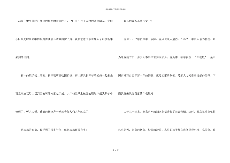 愉快的春节小学五篇_第2页