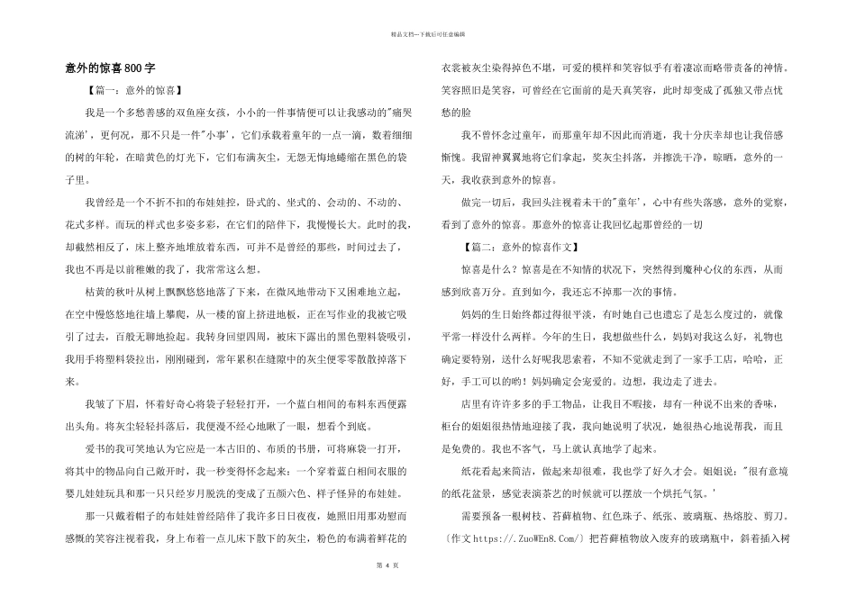 意外的惊喜800字_第1页