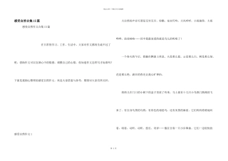 感受自然合集15篇