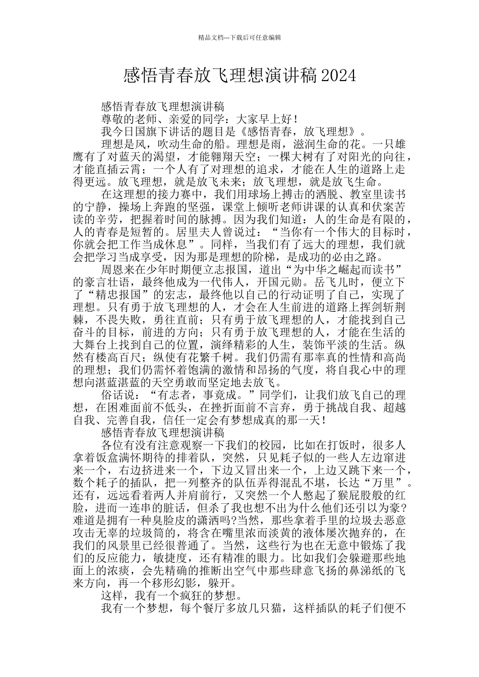 感悟青春放飞理想演讲稿2024_第1页