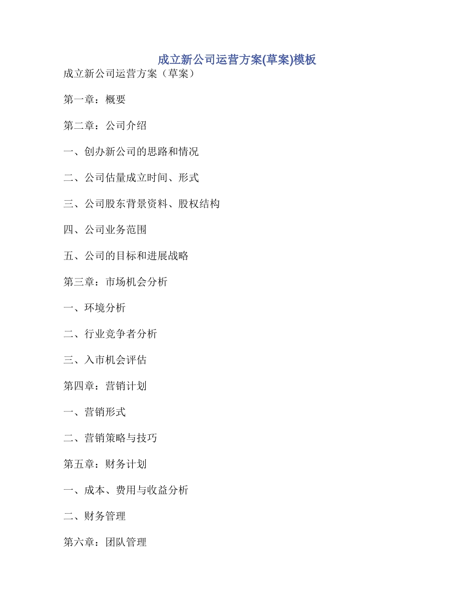 成立新公司运营方案模板_第1页