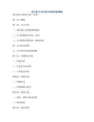 成立新公司运营方案模板
