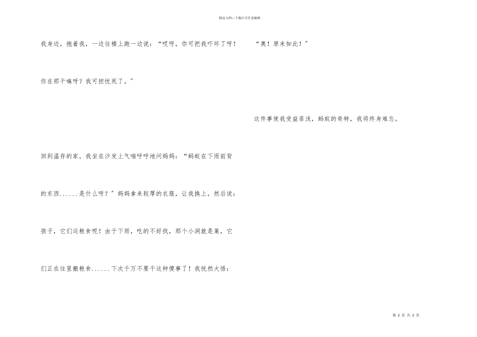 我发现了蚂蚁奥秘_第2页