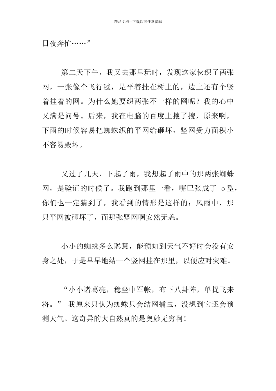 我发现了蜘蛛网的秘密四年级作文_第2页