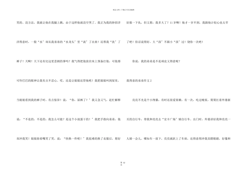 我可爱的弟弟_第2页